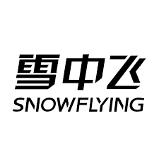 Snowflying